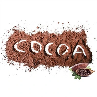 مسحوق الكاكاو